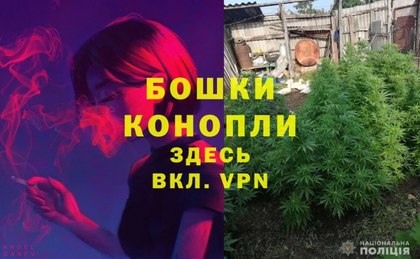 шишки Бородино