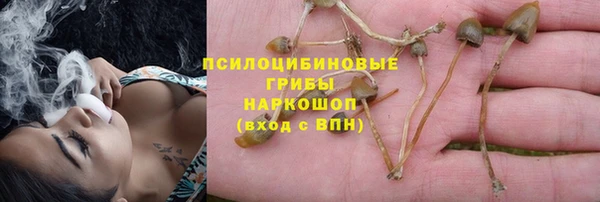 хмурый Рославль