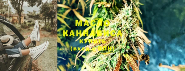шишки Бородино