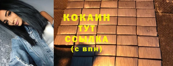 шишки Бородино